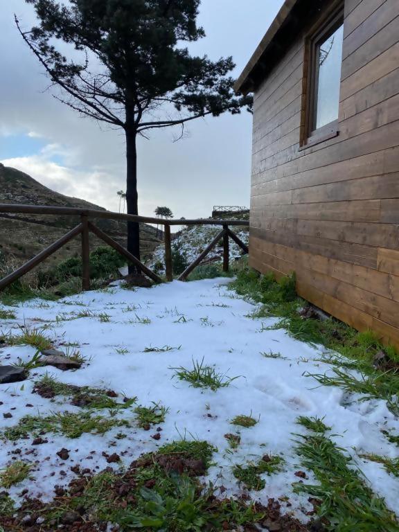 Mountain Eco Shelter 2 Hotel Funchal  Eksteriør billede